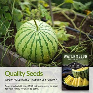 Survival Garden Seeds - Yellow Petite Watermelon Seed for Planting - Packet with Instructions to Plant and Grow Small Yellow Watermelons in Your Home Vegetable Garden - Non-GMO Heirloom Variety