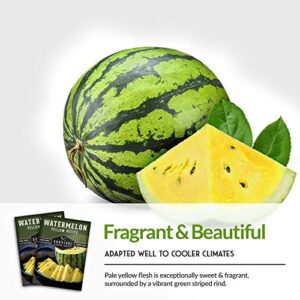 Survival Garden Seeds - Yellow Petite Watermelon Seed for Planting - Packet with Instructions to Plant and Grow Small Yellow Watermelons in Your Home Vegetable Garden - Non-GMO Heirloom Variety