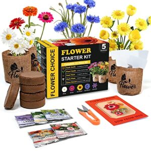 indoor daisy garden starter kit, 5 non-gmo flower seeds planting set with gardening tool set – jute bags, markers, soil disks and shears, home gardening gifts for women men flower plant lovers