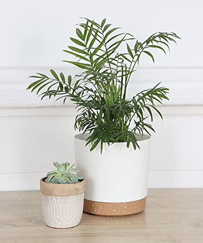 kubvici Planters for Indoor Plants, 8 Inch Plant Pots 2 Pack Flower Pots with Drainage and Saucer for Indoor Outdoor Plants, Plastic Indoor Planter Garden Pot White 8”