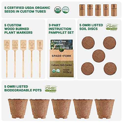 Organic Herb Garden Kit Indoor - Certified USDA & Made in USA | Herb Plants for Women and Men, Indoor Herb Garden Starter Kit, Herb Growing Kit Indoor, Plant Growing Kit, Herb Starter Kit, Plant Kit