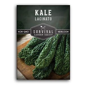 Survival Garden Seeds - Lacinato Kale Seed for Planting - Packet with Instructions to Plant and Grow in Your Home Vegetable Garden - Non-GMO Heirloom Variety