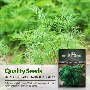 Survival Garden Seeds - Dill Seed for Planting - Packet with Instructions to Plant and Grow Popular Pickling Herbs in Your Home Vegetable and Herb Garden - Non-GMO Heirloom Variety - 3 Pack