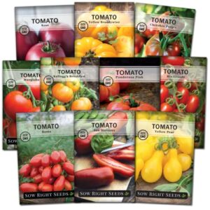 sow right seeds – tomato seed collection for planting – 10 varieties with many sizes, shapes, and colors – non-gmo heirloom packets with instructions for growing a home vegetable garden – great gift