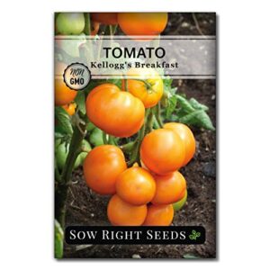 Sow Right Seeds - Tomato Seed Collection for Planting - 10 Varieties with Many Sizes, Shapes, and Colors - Non-GMO Heirloom Packets with Instructions for Growing a Home Vegetable Garden - Great Gift