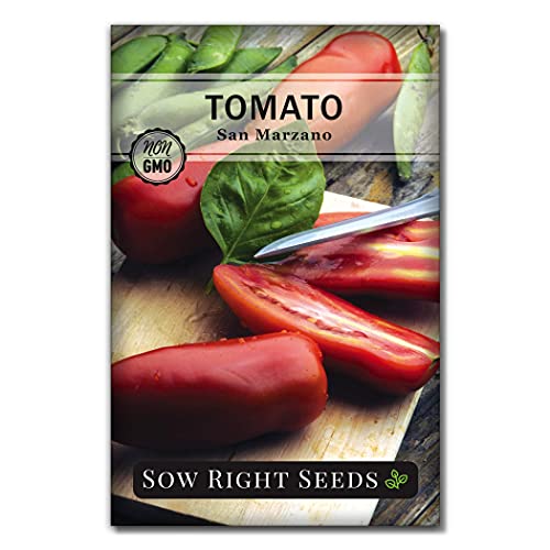 Sow Right Seeds - Tomato Seed Collection for Planting - 10 Varieties with Many Sizes, Shapes, and Colors - Non-GMO Heirloom Packets with Instructions for Growing a Home Vegetable Garden - Great Gift