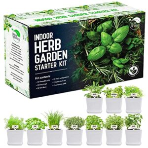 realpetaled indoor herb garden 10 non-gmo herbs– complete kitchen herb garden with 10 reusable pots, drip trays, soil discs and seed packets