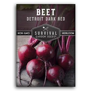 survival garden seeds – detroit dark red beet seed for planting – packet with instructions to plant and grow delicious root vegetables in your home vegetable garden – non-gmo heirloom variety