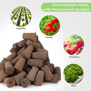 moistenland 50-Pack Compatible Seed Pod Sponges, Seed Starter Sponge Pods Replacements, Root Growth Sponge Plugs for Hydroponic Indoor Garden kit Seed Starting (Seeds Not Included) (50)