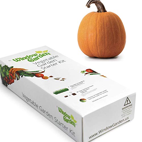 Window Garden - Pumpkin Vegetable Starter Kit - Grow Your Own Food. Germinate Seeds on Your Windowsill Then Move to a Patio Planter or Vegetable Patch. Mini Greenhouse System - Easy. (Pumpkin)