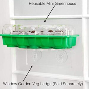 Window Garden - Pumpkin Vegetable Starter Kit - Grow Your Own Food. Germinate Seeds on Your Windowsill Then Move to a Patio Planter or Vegetable Patch. Mini Greenhouse System - Easy. (Pumpkin)