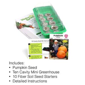 Window Garden - Pumpkin Vegetable Starter Kit - Grow Your Own Food. Germinate Seeds on Your Windowsill Then Move to a Patio Planter or Vegetable Patch. Mini Greenhouse System - Easy. (Pumpkin)