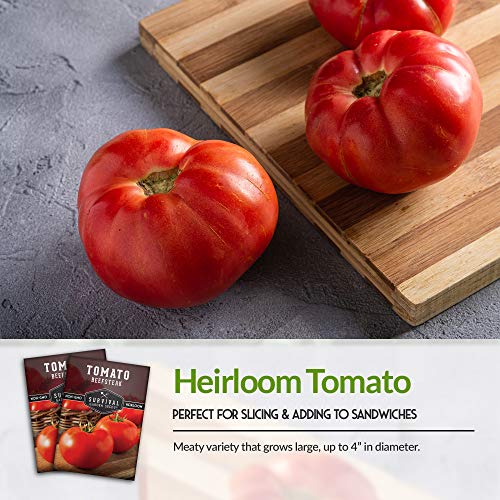 Survival Garden Seeds - Beefsteak Tomato Seed for Planting - Packet with Instructions to Plant and Grow Delicious Tomatoes in Your Home Vegetable Garden - Non-GMO Heirloom Variety - 1 Pack