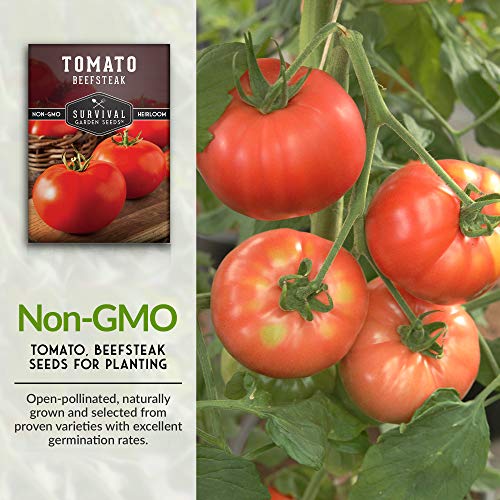 Survival Garden Seeds - Beefsteak Tomato Seed for Planting - Packet with Instructions to Plant and Grow Delicious Tomatoes in Your Home Vegetable Garden - Non-GMO Heirloom Variety - 1 Pack