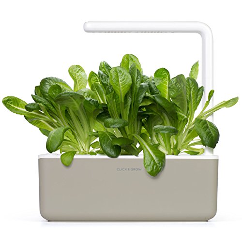 Click and Grow Smart Garden Romaine Lettuce Plant Pods, 3-Pack