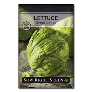 Sow Right Seeds - Large Lettuce Seed Collection for Planting - Buttercrunch, Jericho, Great Lakes, Salad Bowl, Little Gem, Giant Caesar and Lolla Rosa - Non-GMO Heirloom Seeds to Plant a Home Garden