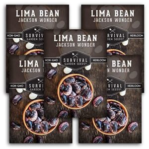 survival garden seeds – jackson wonder lima seed for planting – 5 packs with instructions to plant and grow purple speckled butter beans in your home vegetable garden – non-gmo heirloom variety