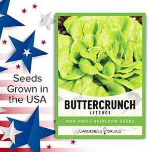 2000+ Buttercrunch Lettuce Seeds for Planting - Butterhead Boston Bibb Heirloom, Non-GMO Vegetable Variety- 2 Grams Seeds Great for Spring, Summer, Winter Garden and Hydroponics by Gardeners Basics