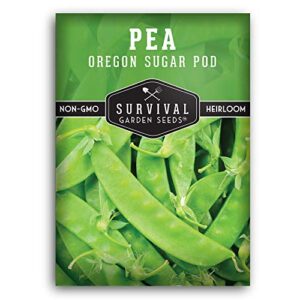 survival garden seeds -oregon sugar pod ii pea seed for planting – packet with instructions to plant and grow delicious snow peas in your home vegetable garden – non-gmo heirloom variety