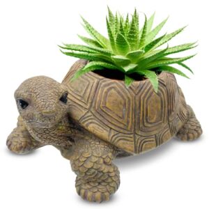 turtle planter for succulents – animal planter for indoor and outdoor plants, turtle pot makes ideal gift for any turtle lover