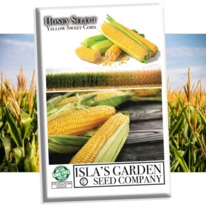 honey select yellow sweet corn seeds for planting, 50+ heirloom seeds per packet, (isla’s garden seeds), non gmo seeds, botanical name: zea mays, great home garden gift