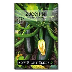 sow right seeds – black beauty zucchini seed for planting – non-gmo heirloom packet with instructions to plant a home vegetable garden – great gardening gift (1)