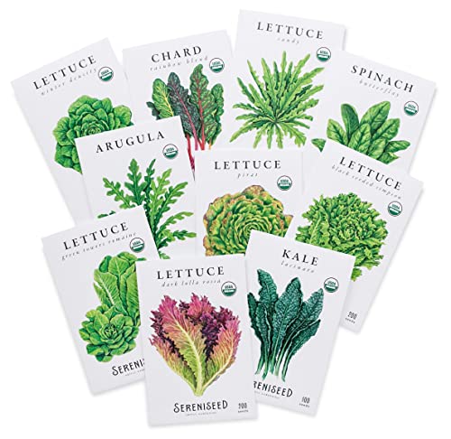 Sereniseed Certified Organic Leafy Greens Lettuce Seeds Collection (10-Pack) – 100% Non GMO, Open Pollinated – Grow Guide