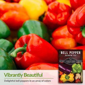 Survival Garden Seeds - Rainbow Bell Pepper Seed Mix for Planting - Packet with Instructions to Plant and Grow Delicious Sweet Peppers in Your Home Vegetable Garden - Non-GMO Heirloom Varieties