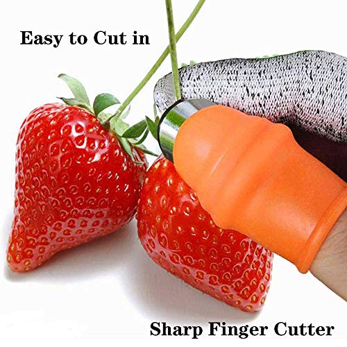 ZGYFJCH Garden Silicone Thumb Knife, Finger Knife-Plants Picking Trim Tools(L)