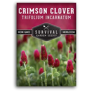 survival garden seeds – crimson clover seed for planting – packet with instructions to plant and grow lovely flowers that also are a cover crop in your home vegetable garden – non-gmo heirloom variety