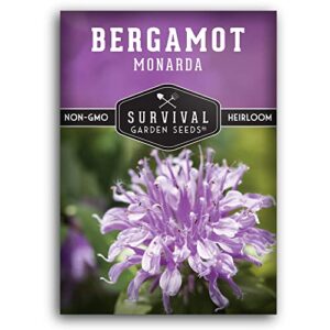 survival garden seeds – bergamot herb (bee balm) seed for planting – packet with instructions to plant and grow lavender monarda wildflowers in your home vegetable garden – non-gmo heirloom variety