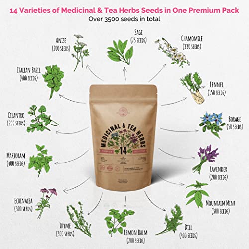 14 Medicinal & Tea Herb Seeds Variety Pack for Planting Indoor & Outdoors. 3500+ Non-GMO Heirloom Herbal Garden Seeds: Anise, Borage, Cilantro, Chamomile, Echinacea, Rosemary, Lavender Seeds & More