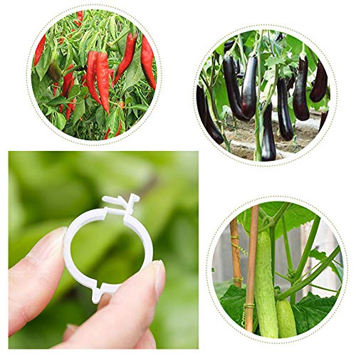 300 PCS Plant Support Garden Clips,Tomato Vine Clips,Durable Crop Clips in White for Flower Vine Twine Tomato Orchid to Grow Upright and Healthier