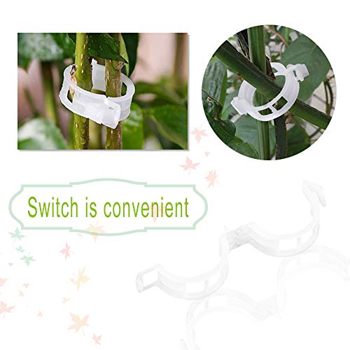 300 PCS Plant Support Garden Clips,Tomato Vine Clips,Durable Crop Clips in White for Flower Vine Twine Tomato Orchid to Grow Upright and Healthier