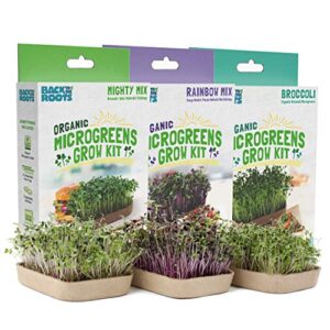 back to the roots diy microgreen grow kit, 6-grow variety pack