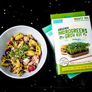 Back to the Roots DIY Microgreen Grow Kit, 6-Grow Variety Pack