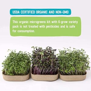 Back to the Roots DIY Microgreen Grow Kit, 6-Grow Variety Pack