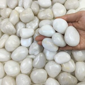 fantian natural polished white pebbles – 5lb smooth small white river rocks for plants, aquariums rocks, vase fillers, landscaping rocks and fairy garden white stones