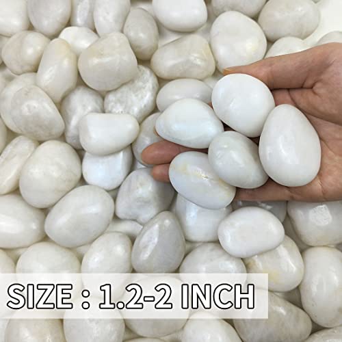 FANTIAN Natural Polished White Pebbles - 5lb Smooth Small White River Rocks for Plants, Aquariums Rocks, Vase Fillers, Landscaping Rocks and Fairy Garden White Stones