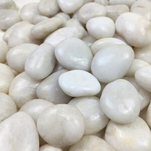 FANTIAN Natural Polished White Pebbles - 5lb Smooth Small White River Rocks for Plants, Aquariums Rocks, Vase Fillers, Landscaping Rocks and Fairy Garden White Stones