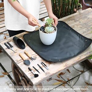 11Pcs Succulent Tools,Mini Garden Tools,Succulent Watering Bottle as Plant Accessories,Succulent Gardending Hand Tools Kit for Seedling Soil,Caring Succulent,Houseplent,Gifts for Woman (No Flowerpot)