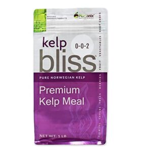 kelp bliss – pure kelp meal – organic kelp fertilizer for growing healthy plants, crops, and gardens! increases fruit and vegetable yield! (1 lb)