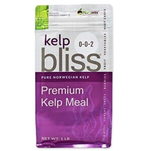 Kelp Bliss - Pure Kelp Meal - Organic Kelp Fertilizer for Growing Healthy Plants, Crops, and Gardens! Increases Fruit and Vegetable Yield! (1 lb)