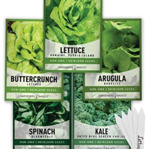 Lettuce and Greens Heirloom Vegetable Seed Non-GMO Seeds for Planting Indoors and Outdoor 5 Packs - Lettuce Buttercrunch, Romaine, Arugula, Kale and Spinach by Gardeners Basics