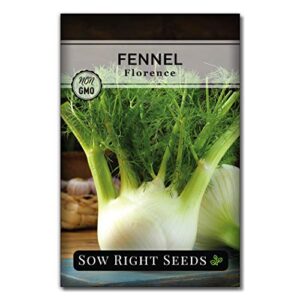 sow right seeds – fennel seeds for planting – non-gmo heirloom seeds with instructions to plant an easy to grow home herb garden – indoor or outdoor