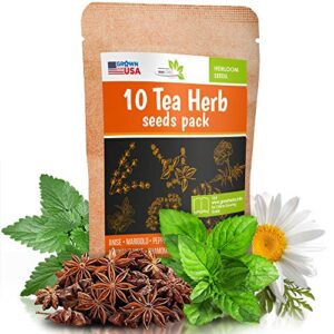 10 herbal and medical tea seeds pack – heirloom and non gmo, grown in usa – indoor or outdoor garden – chamomile, lavender, mint, lemon balm, catnip, peppermint, anise, coneflower echinacea & more