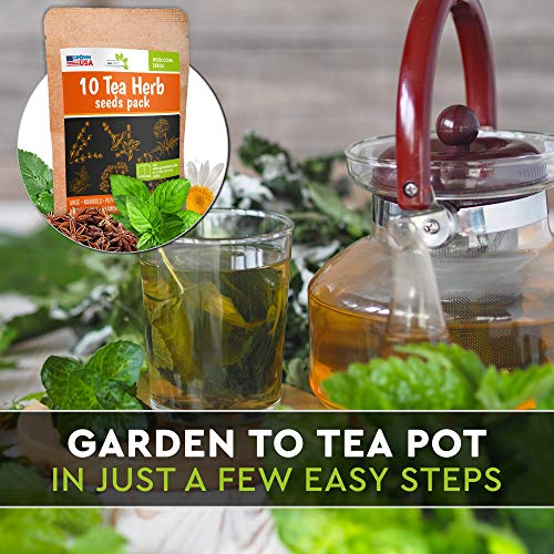 10 Herbal and Medical Tea Seeds Pack - Heirloom and Non GMO, Grown in USA - Indoor or Outdoor Garden - Chamomile, Lavender, Mint, Lemon Balm, Catnip, Peppermint, Anise, Coneflower Echinacea & More