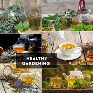 10 Herbal and Medical Tea Seeds Pack - Heirloom and Non GMO, Grown in USA - Indoor or Outdoor Garden - Chamomile, Lavender, Mint, Lemon Balm, Catnip, Peppermint, Anise, Coneflower Echinacea & More