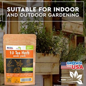 10 Herbal and Medical Tea Seeds Pack - Heirloom and Non GMO, Grown in USA - Indoor or Outdoor Garden - Chamomile, Lavender, Mint, Lemon Balm, Catnip, Peppermint, Anise, Coneflower Echinacea & More
