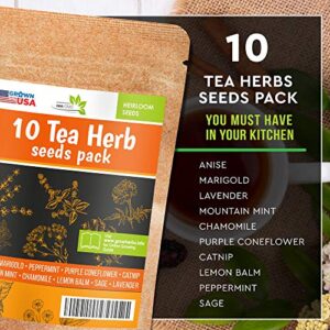 10 Herbal and Medical Tea Seeds Pack - Heirloom and Non GMO, Grown in USA - Indoor or Outdoor Garden - Chamomile, Lavender, Mint, Lemon Balm, Catnip, Peppermint, Anise, Coneflower Echinacea & More